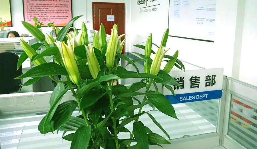 浓情七夕，最美祝福！